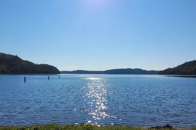 Oliver Lake public beach