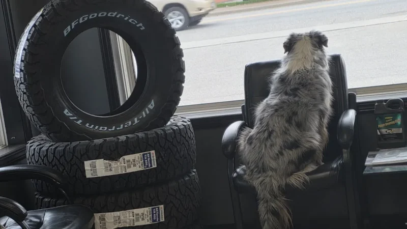 Tireland – Sabyan Automotive Service And Repair