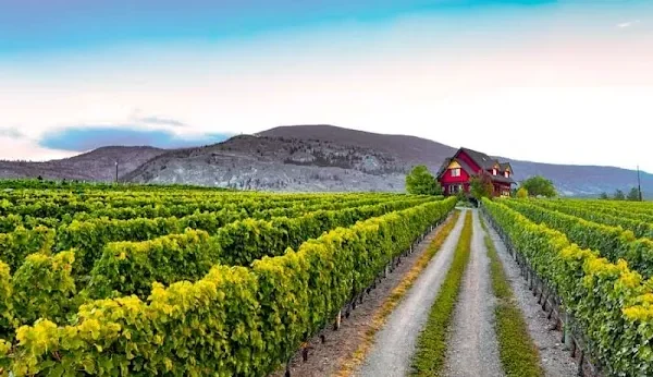 River Stone Estate Winery