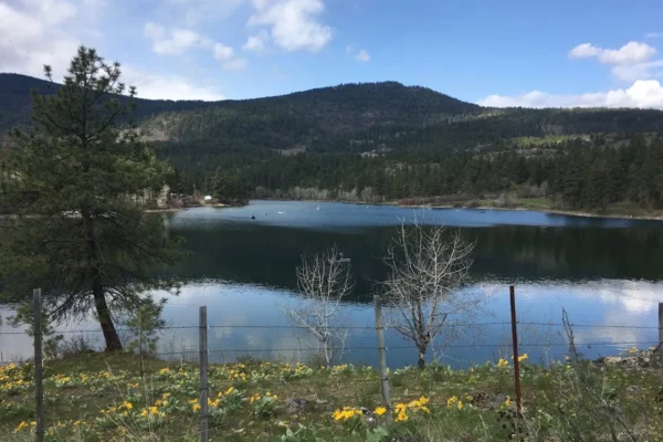 Burnell Lake Recreation Site