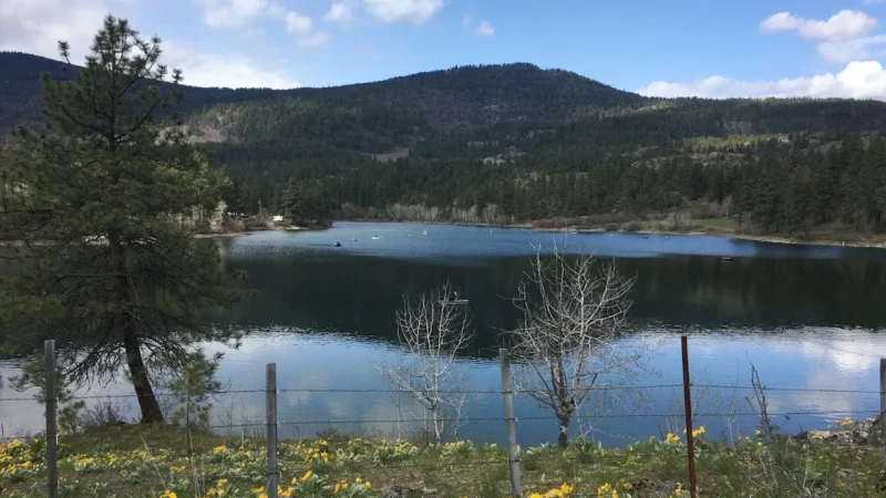 Burnell Lake Recreation Site