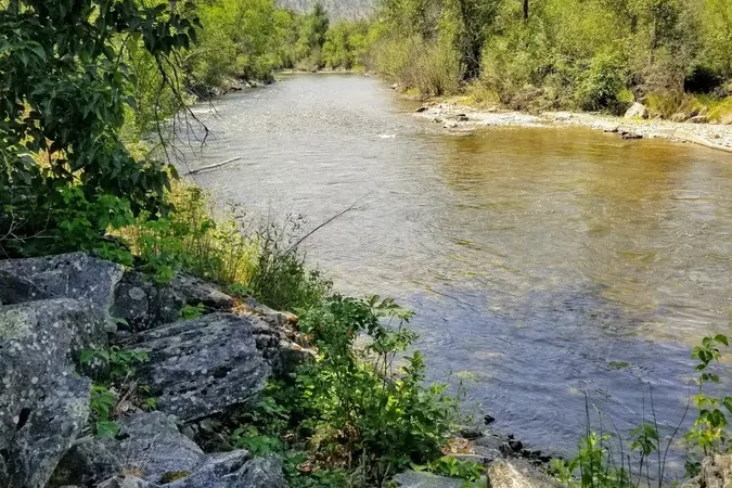 Inkaneep Provincial Park