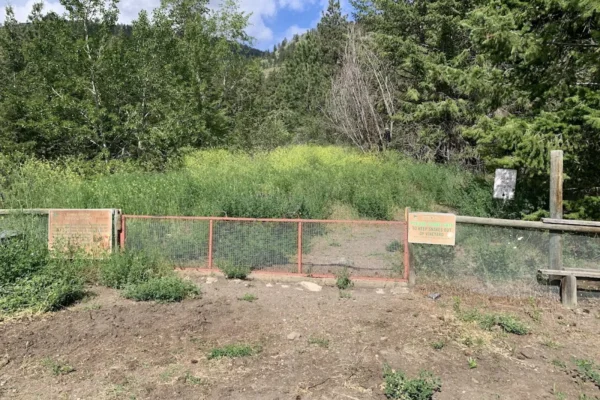 Golden Mile Stamp Mill Trail