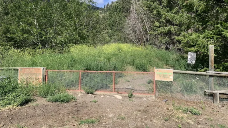 Golden Mile Stamp Mill Trail