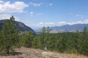 White Lake Grasslands Protected Area