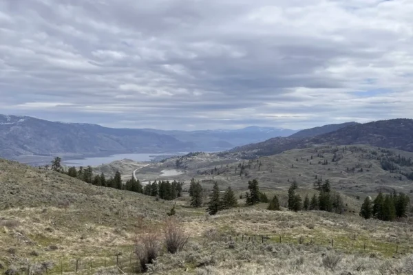 South Okanagan Grasslands Protected Area
