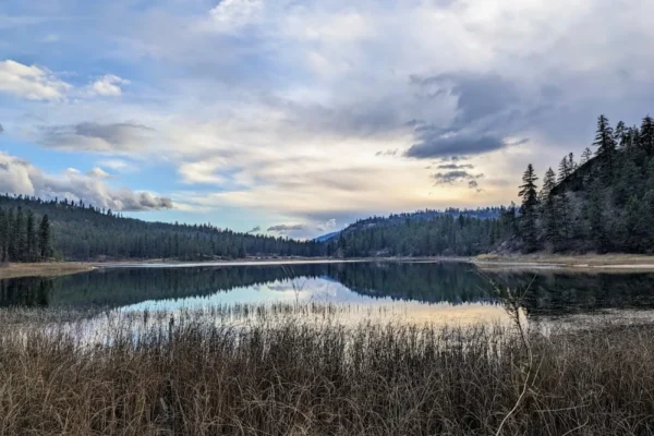 Mahoney Lake Ecological Reserve