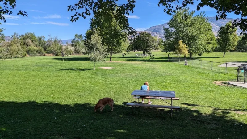 Oliver Off-Leash Dog Park